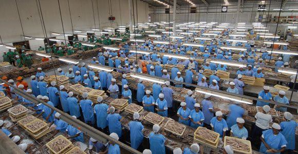 Fisheries industry takes new tack - Business Advantage PNG