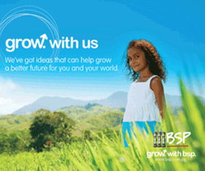www.bsp.com.pg