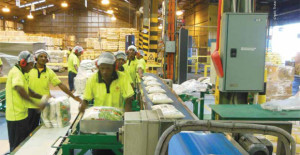 Workers in Lae packaging rice for the domestic market. Credit: Trukai