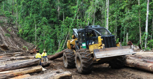 Photo by Rocky Roe © Cloudy Bay Sustainable Forestry