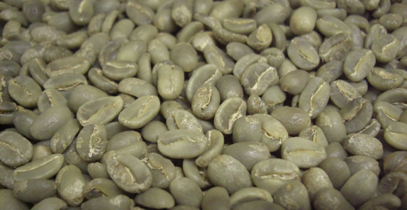 Green coffee beans. Credit: Mainland Holdings