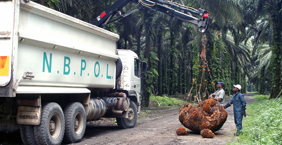 Kulim's half-billion kina bid for New Britain Palm Oil ...