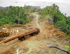 Solomon Island Mining Compnay Solomon Island Mining Compnay