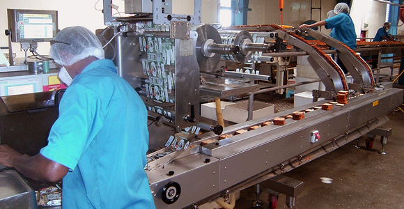 Paradise factory1