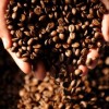 PNG C=coffee beans, Credit; AFP 