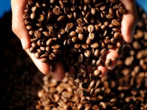 PNG Coffee beans, Credit: AFP 