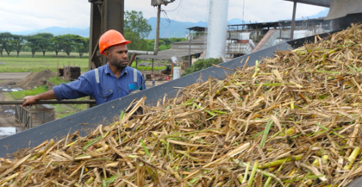 Harvesting sugar cane in the Markham Valley Credit: RAI
