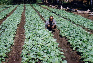 Agriculture losing out, says Paul Barker. Credit; Hope