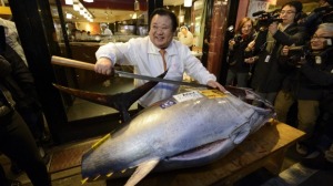 The K95,000 tuna.Credit: Bloomberg