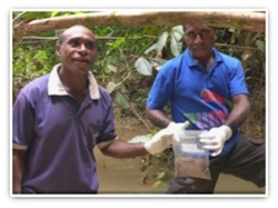 Sampling at the Bassei Oil Palm Project