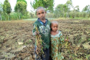 The effects of frost in the Highlands. Credit: CARE International, Jay Lomu. 