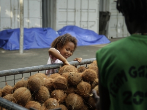 The next generation of coconut farmers on East New Britain. Credit: Jody Cleaver.