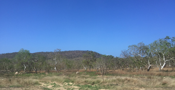 Land in Papua New Guinea Source: BAI