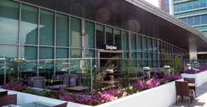Sogno Restaurant, Harbourside Credit: BAI
