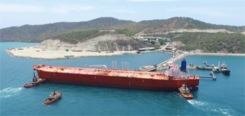 Three Pacific Towing tugs manoeuvring a ship near Motukea Island. Credit: Steamships