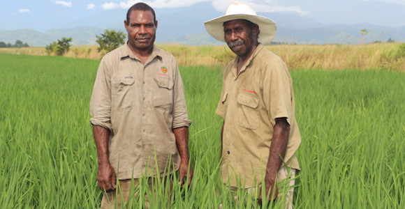 David Tima Trukai’s senior operator (left) and Michael Maran (Chingwam Cooperative chairman) (right). Source: Trukai Industries