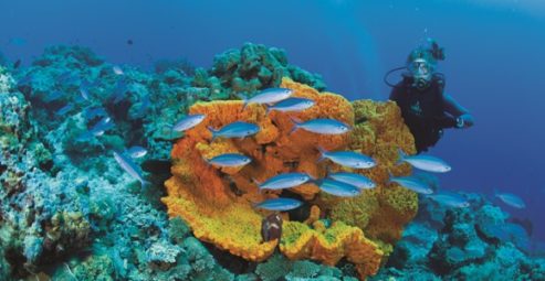 Diving in PNG