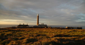 Gabo Island