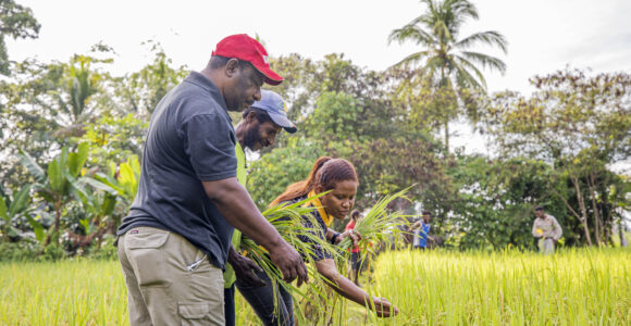 Smart Farmer program promises to transform local rice farmers into commercial farmers: Credit Trukai