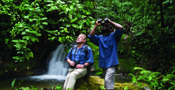 Two men sit in a dense rainforest, looking up. One had binocular and is looking closely for birds. 